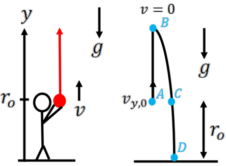 Cartoon of a ball thrown upward from A through peak B then down through C to ground D.