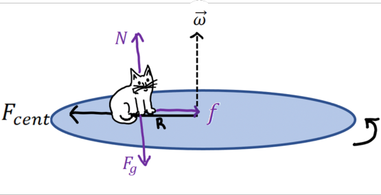 Figure shows a diagram of the cat on a turntable with relevant forces labelled.