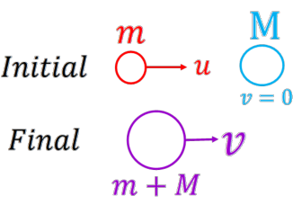 Figure shows the two masses before and after an inelastic collision.