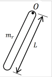 Figure shows the rod only relative to the pivot point.