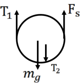 Figure shows a free body diagram for the pulley alone with all forces labelled.