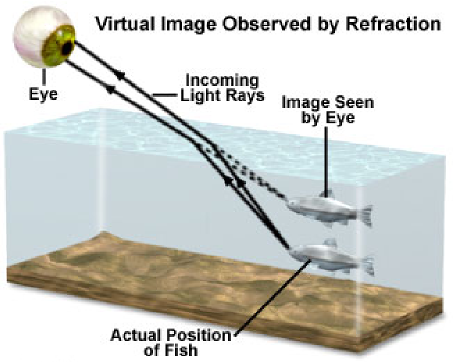 An eyeball (top left) looking at two fish in water (bottom right). Light rays enter the eyes. First ray shows actual position of the fish is lower than the second image seen by the eye.