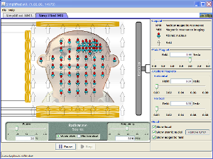 Screenshot of the Simplified MRI simulation