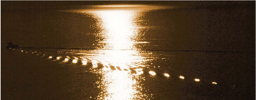 A wake at sunset.