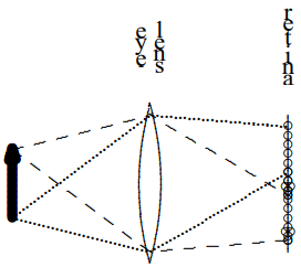 A magnifying glass works by allowing you to produce a larger image of the object on your retina. It does this in two ways, both of which are illustrated in the diagram in [Figure 11.44](#fig-11-44) (with fewer light rays shown now because the diagrams are getting too busy).