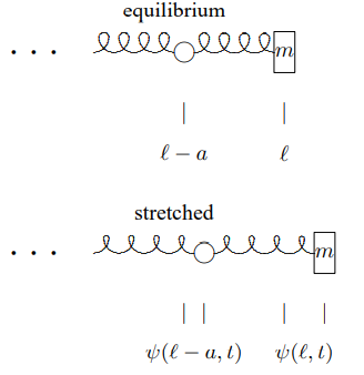 The stretching of the last spring is \psi(\ell, t)-\psi(\ell-a, t)