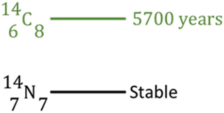 An example of how to think about why carbon-14 decays to nitrogen-14
