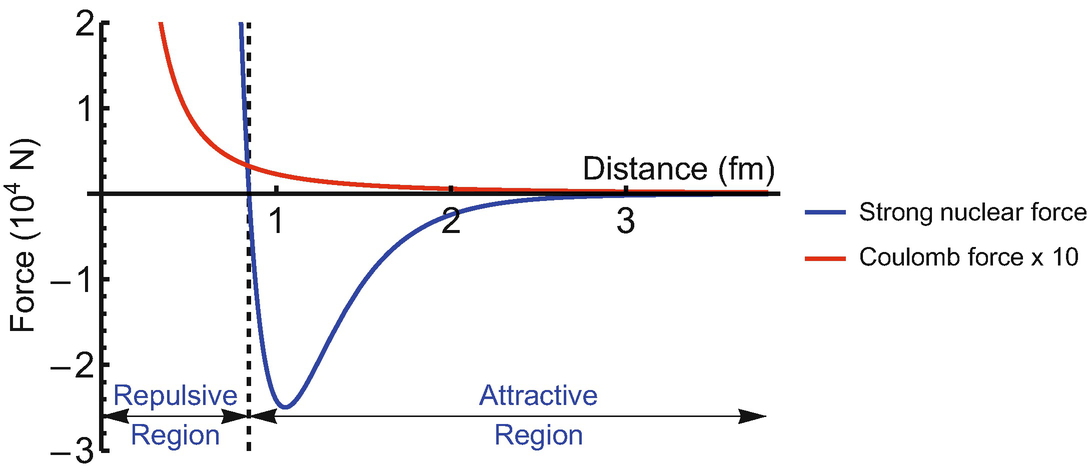 An illustrative plot showing the forces between nucleons inside the nucleus. The strong nuclear force is attractive (negative force) above about 0.85 fm but falls off very quickly. The Coulomb force between two protons, which is increased by a factor of 10 for visibility, is always repulsive (positive force)