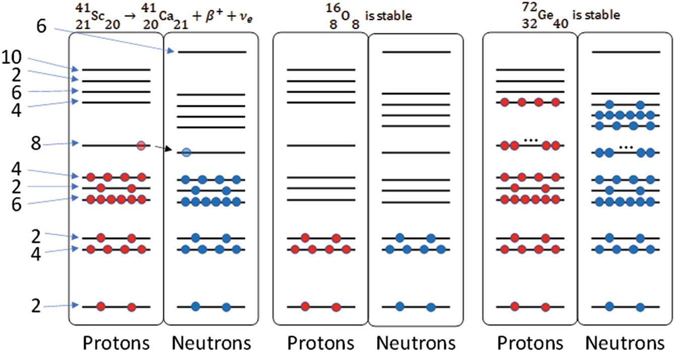 Starting from the left, scandium-41 is an example of \beta ^+ decay. The middle diagram and right diagram are examples of stable nuclei. Oxygen-16 is stable and has 8 protons and 8 neutrons. Germanium-72 is also stable, but it needs 40 neutrons to balance the energy of the 32 protons. The three dots on the subshell that can hold 8 nucleons are indicating the shell is filled; I couldn’t fit 8 nucleons on the line