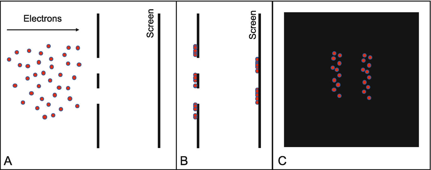 A double-slit experiment where the electrons behave like little sticky balls. In panel A, the electrons are moving towards a barrier that has two small slits in it. Behind the barrier with two small slits is a screen with no holes. In panel B, the electrons have crashed into or passed through the barrier to crash into the screen. Panel C shows a front view of the electrons that passed through the barrier and crashed into the screen