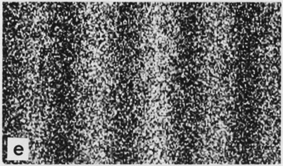 Experimental results of a double-slit experiment with electrons. Image Credit: Dr. Tonomura and Belsazar from Wikimedia Commons CC BY-SA 3.0