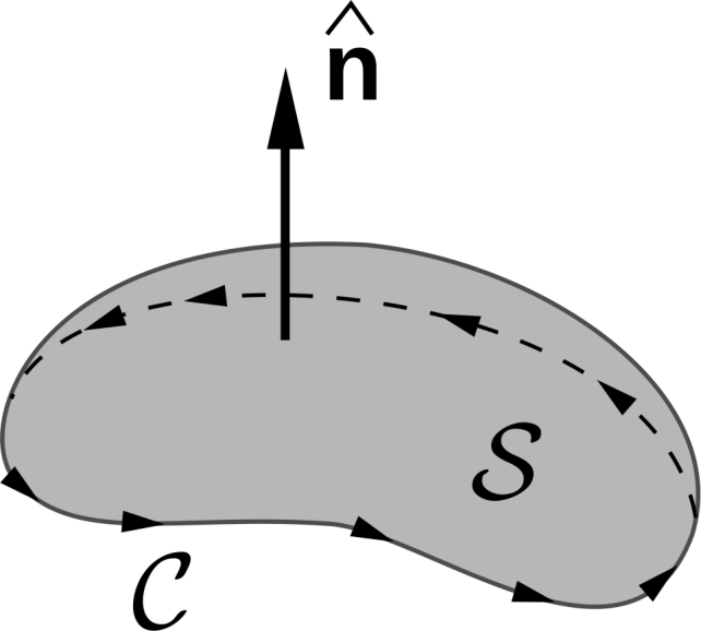 A curved surface with circumference labeled C, surface area labeled S, and normal vector pointing perpendicular to the surface.
