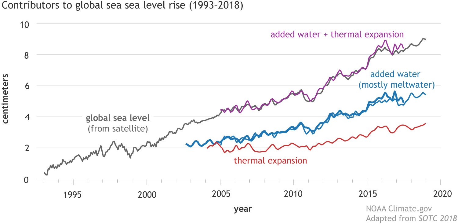 Satellite measurements of sea level since 1993, showing a rise of 3.6 mm per year. Melting ice is the largest contribution, although thermal