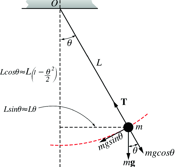 The simple pendulum