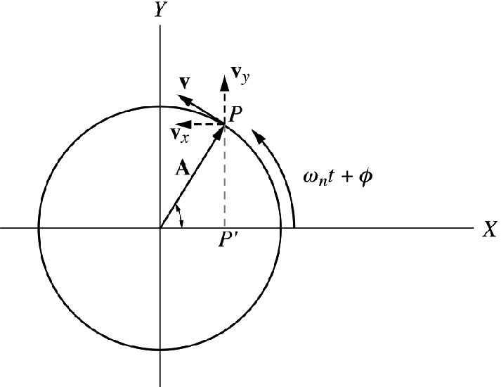 The velocity components of the particle