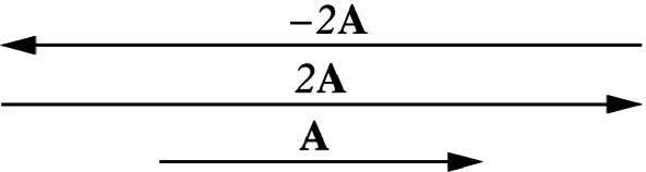 The product of a vector by a scalar