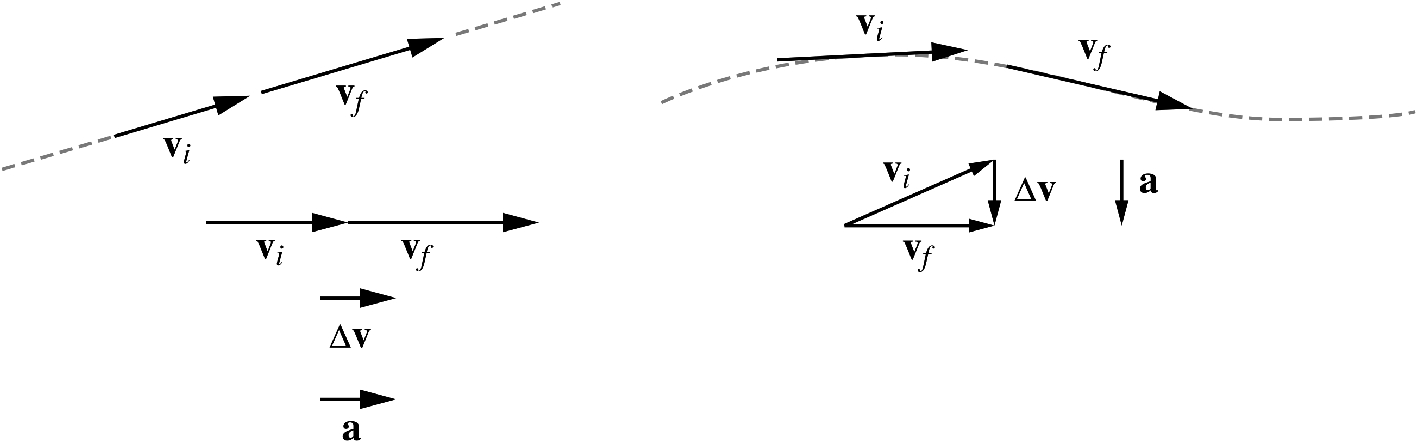 If \mathbf{v} is changed in magnitude only (motion along a straight line) then \mathbf{a} is parallel to \mathbf{v} if \mathbf{v} is increasing, and antiparallel if \mathbf{v} is decreasing. If \mathbf{v} is changed in direction only (motion along a curved path with constant speed) then \mathbf{a} is always perpendicular to \mathbf{v} at any point
