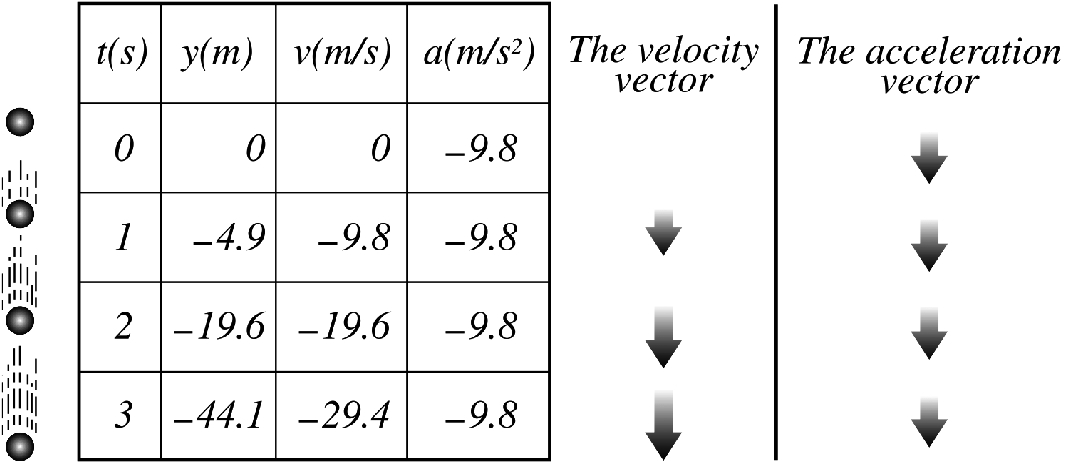 The important features of a free falling object that is dropped from rest