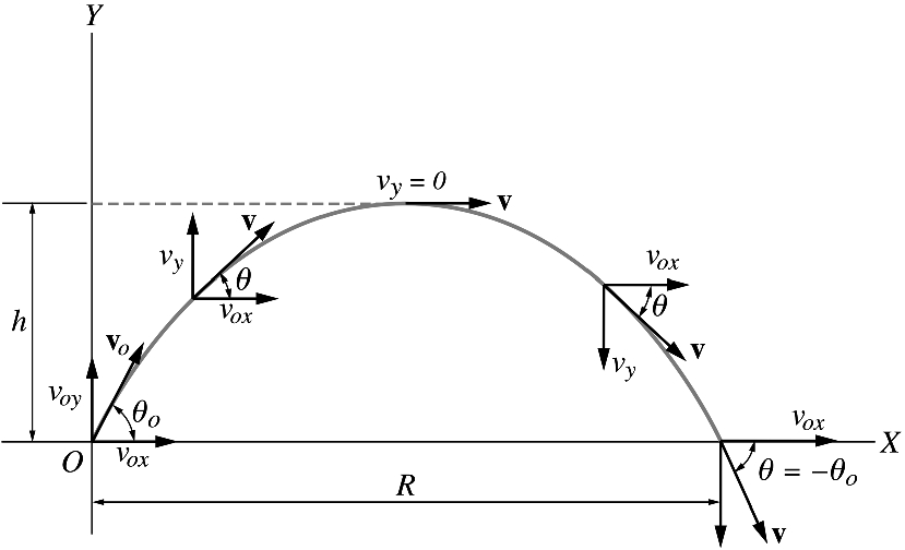 The projectile motion