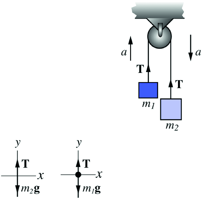 The free-body diagram of an Atwoodõs machine