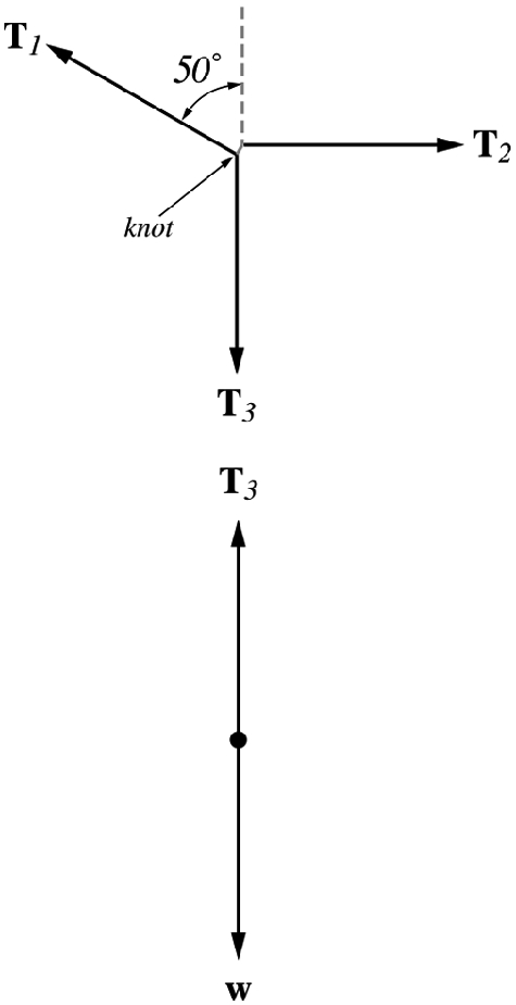 The free-body diagram of the block