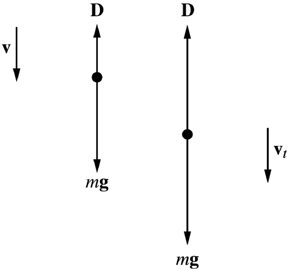 An object falling through air experiences a drag force \mathbf {D} and a gravitational force m\mathbf {g}
