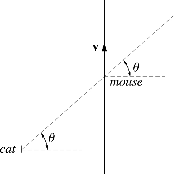 A cat watching a mouse run by