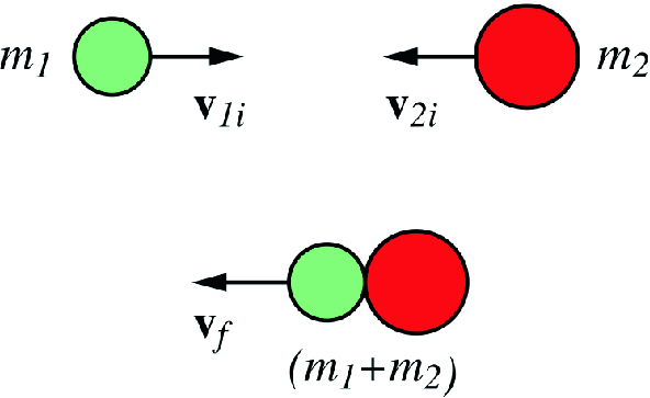 A one dimensional (head-on) perfectly inelastic collision between two particles of mass m_{1} and m_{2}