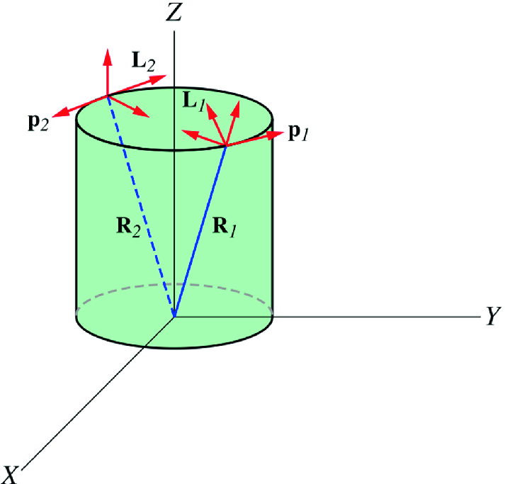 A homogenous symmetrical rigid body rotating about its symmetrical axis