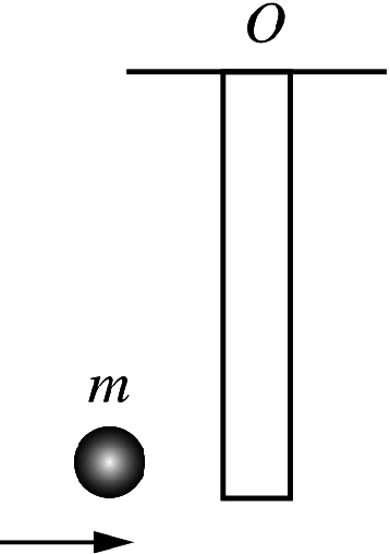 A uniform rod of length L and mass M is pivoted at \mathrm {O}. A projectile of mass m moving at velocity v collides with the rod and sticks to it