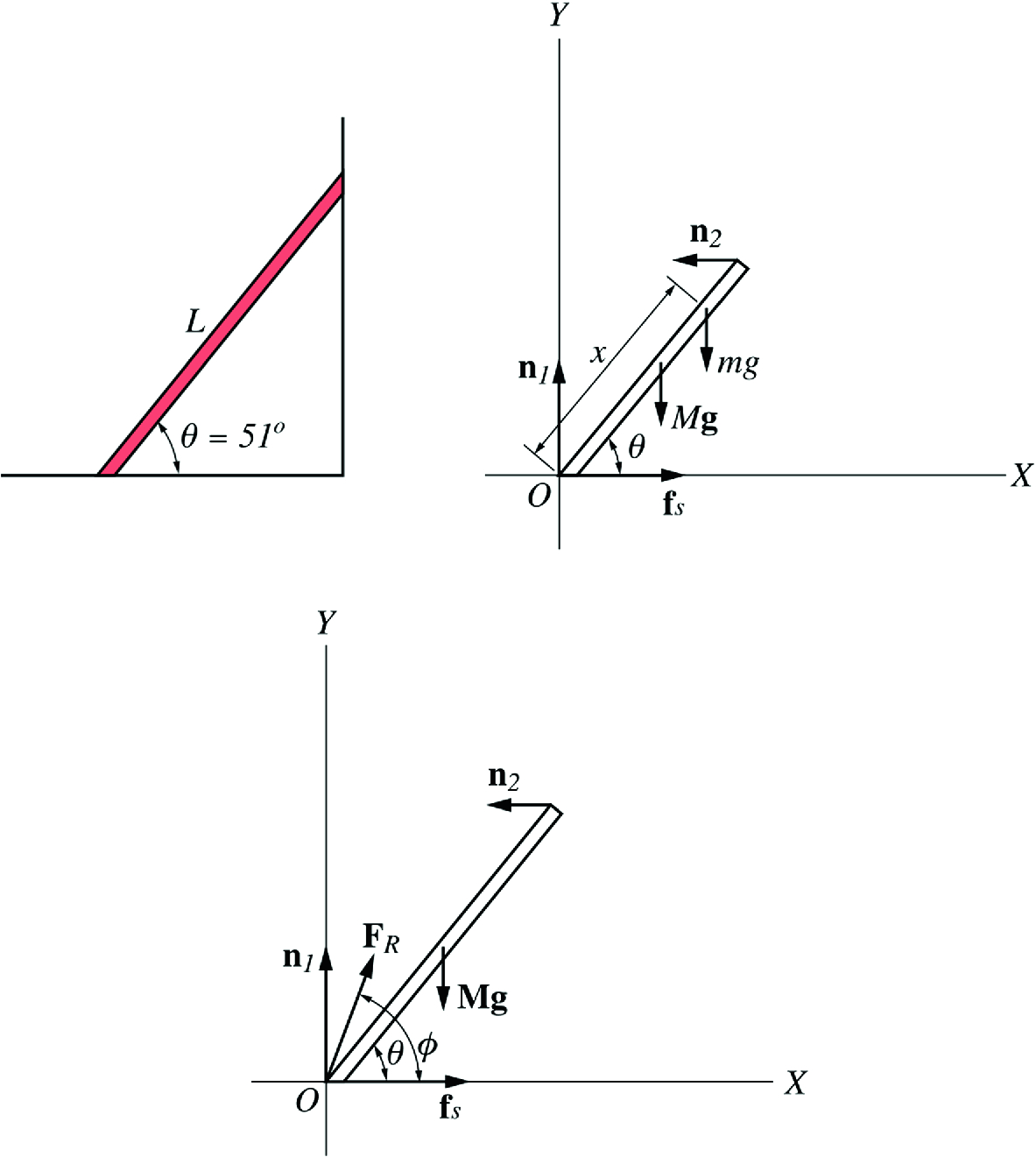 The free-body diagram of a ladder of length L and mass M=20 kg resting against a smooth vertical wall