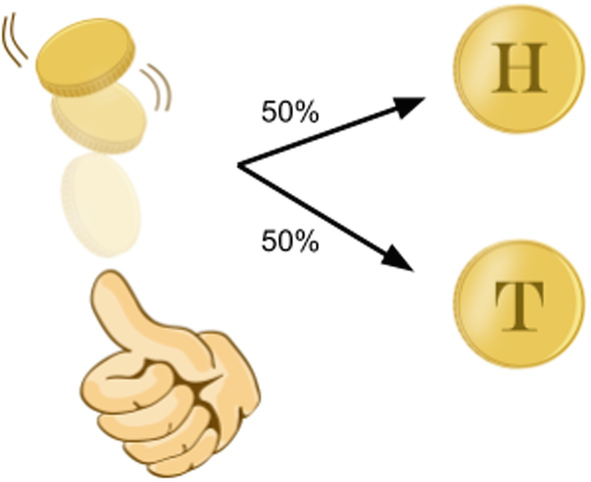 A tossed coin has a 50% chance of landing on heads or tails