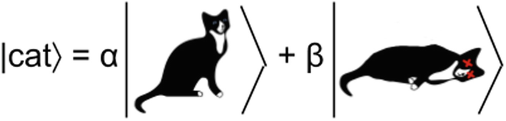 The state of Schrödinger’s cat expressed in bra-ket notation