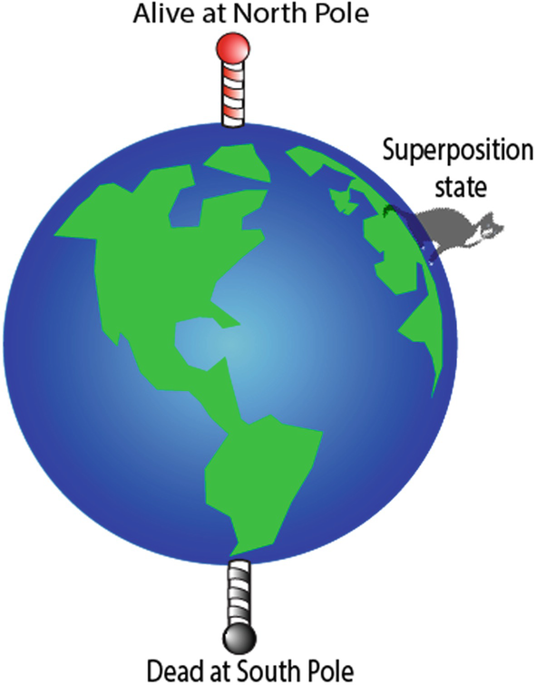 A cartoon of the Bloch sphere depicted as the Earth, and the state of Schrödinger’s cat represented as a location on Earth