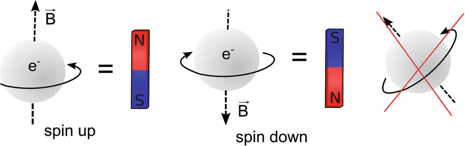 An electron can spin either up or down and produce a magnetic field.