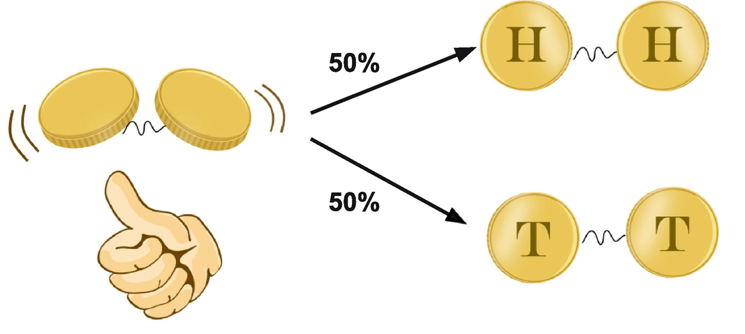 Two coins that are entangled in such a way that they either both land on HH or both land on TT.