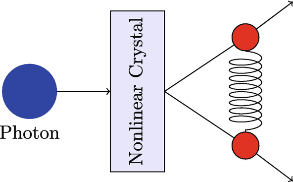 A nonlinear crystal creates two photons with entangled polarizations.