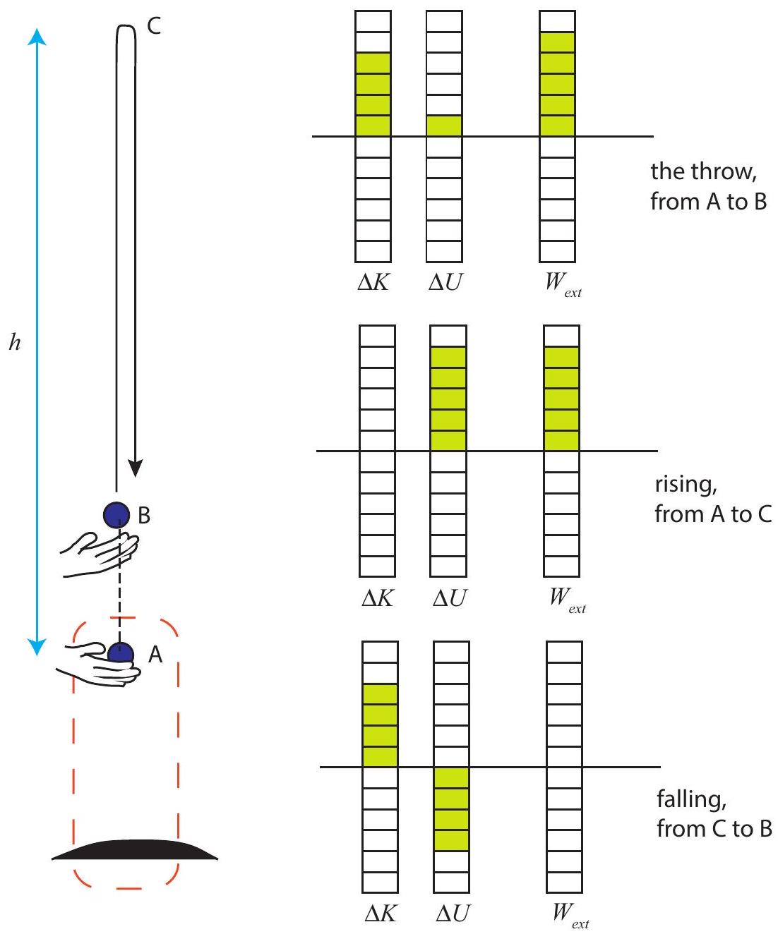 Tossing a ball into the air. We consider the system formed by the ball and the earth. The force exerted by the hand (which is in contact with the ball from point A to point B ) is therefore an external force. The diagrams show the system’s energy balance over three different intervals.