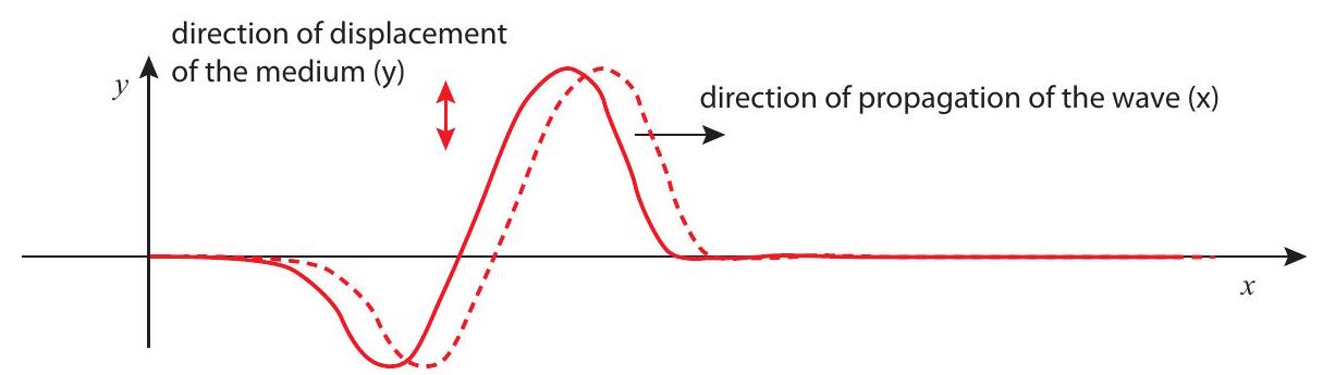 A longitudinal (compression) wave pulse traveling down a slinky.
