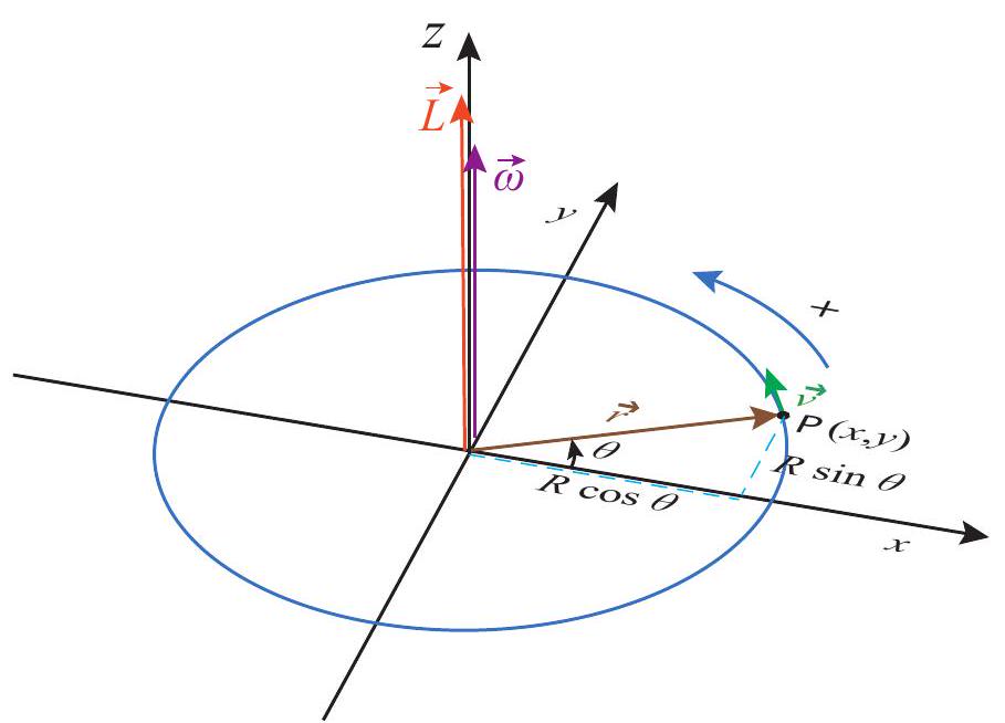 A particle moving on a circle in the x-y plane. For the direction of rotation shown, the vectors \vec{L}=m \vec{r} \times \vec{v} and \vec{\omega} lie along the z axis, in the positive direction.