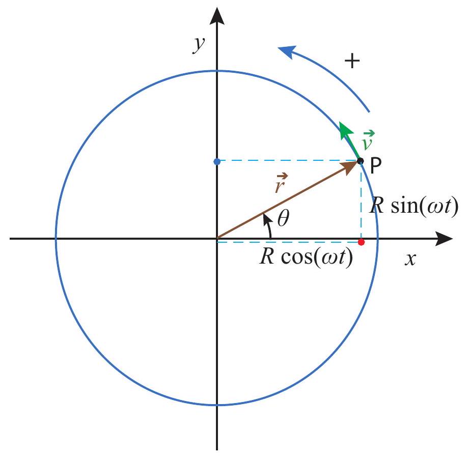 A particle moving on a circle with constant angular velocity \omega. Assuming \theta=0 at t=0, we have \theta=\omega t, and therefore the particle’s x coordinate is given by the function x(t)=R \cos (\omega t). This means the corresponding point on the x axis (the red dot) performs simple harmonic motion with angular frequency \omega as the particle rotates.