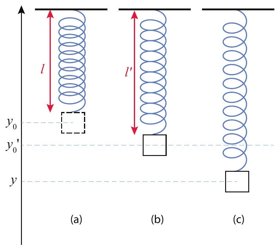 (a) An ideal (massless) spring hanging from the ceiling, in its relaxed position. (b) With a mass m hanging from its end, the spring stretches to a new length l^{\prime}, so that k\left(l^{\prime}-l\right)=m g. (c) If the mass is now displaced from this equilibrium position (labeled y_{0}^{\prime} in the figure) it will perform harmonic oscillations symmetrically around the point y_{0}^{\prime}, with the same frequency as if the spring was horizontal.