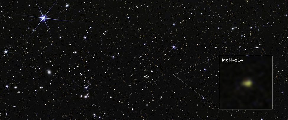 This James Webb Space Telescope image shows a luminous galaxy. The inset at bottom right, labeled “MoM-z14”, zooms in on the most distant galaxy known.
