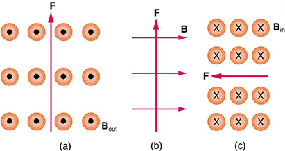 Figure a shows magnetic field B out of the page and force F upward. Figure b shows B toward the right and F upward. Figure c shows B into the page and F toward the left.