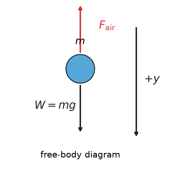 Free Body Diagram of Falling Object; the arrows label the direction of forces acting on the object