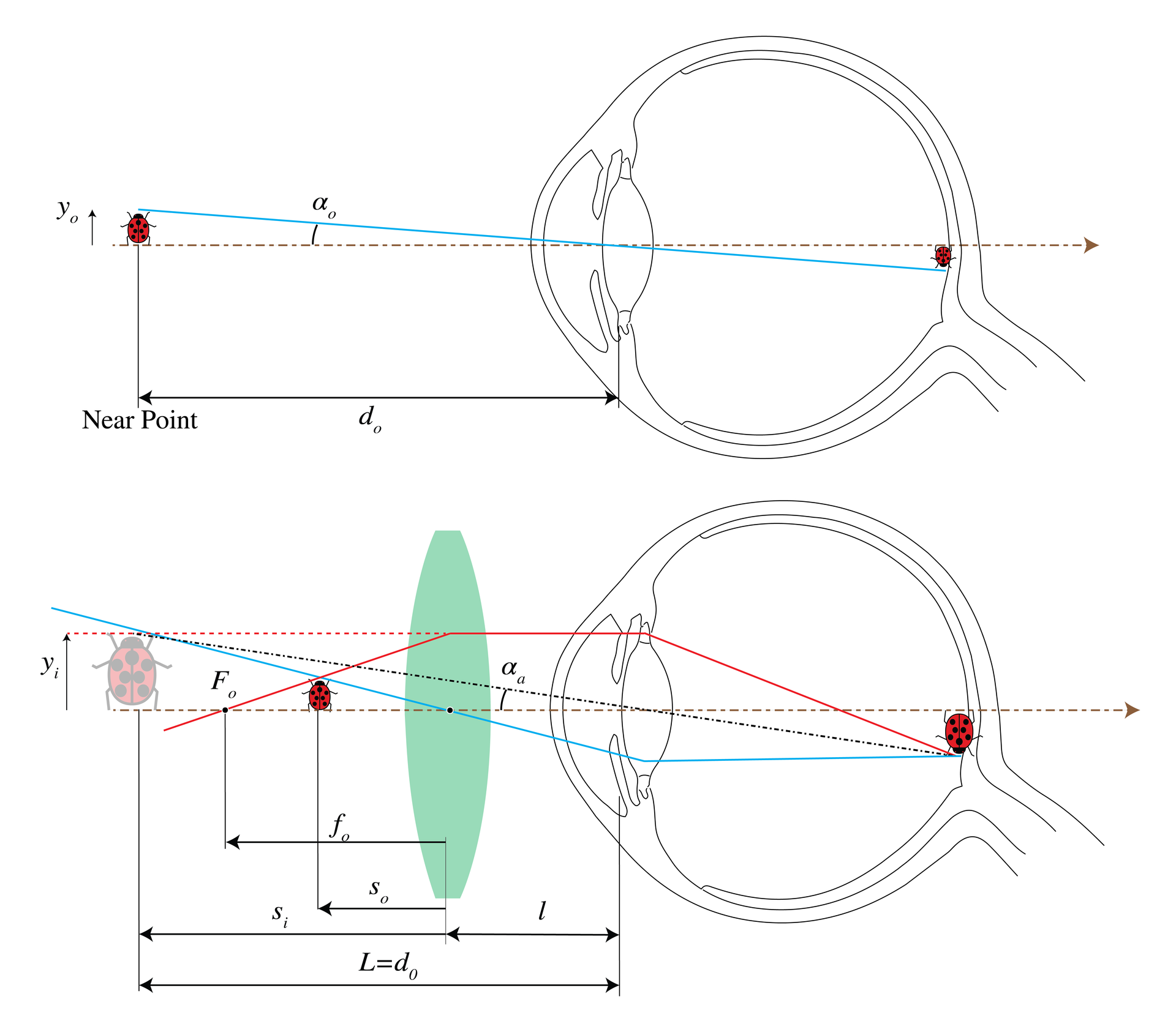 Two ray diagrams compare an unaided view at the reference distance with the larger angular image produced by a magnifying glass.