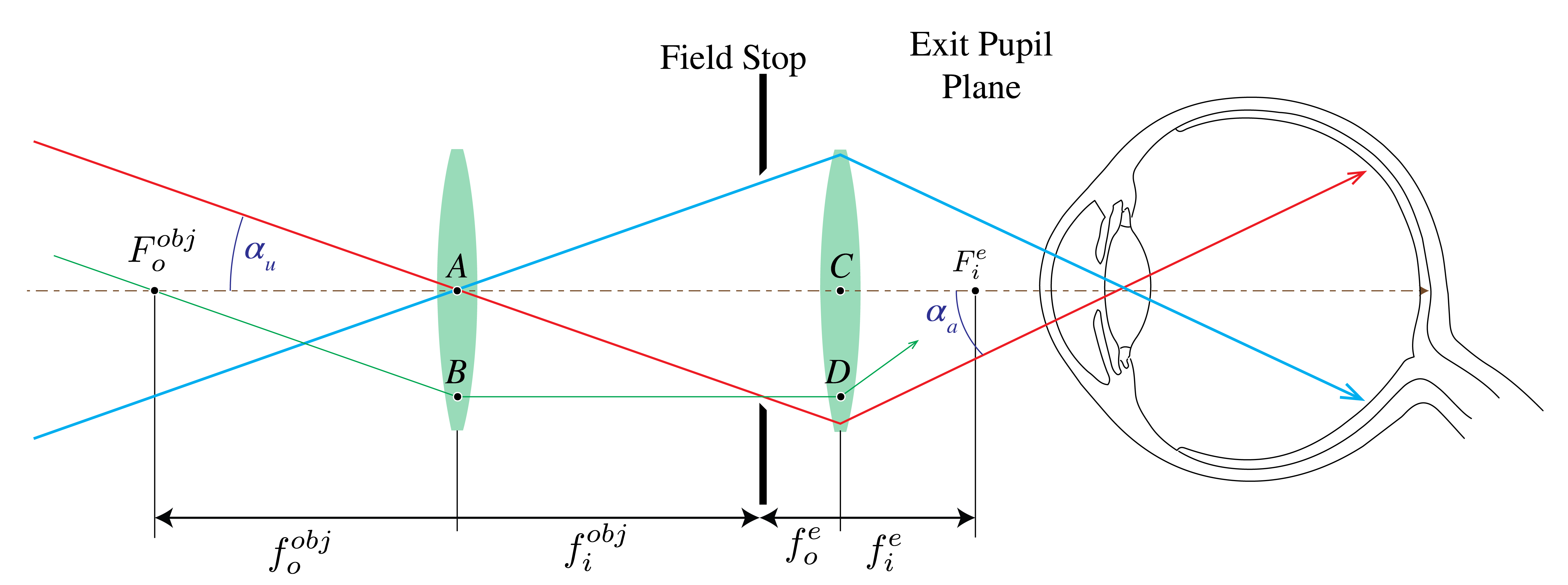 Telescope ray diagram showing the incident and emerging ray angles and the focal lengths of objective and eyepiece.