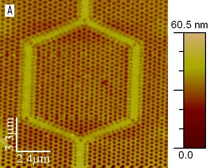 Single atomic-force topography panel marked A shows a hexagonal patterned structure, a 2.4 micrometre scale bar, and a height color scale from zero to 60.5 nanometres.