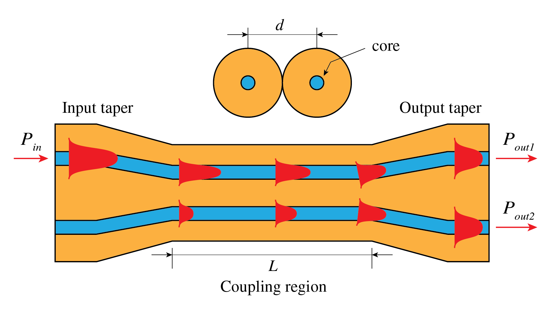 Two tapered parallel fibers exchange red optical power through a central coupling region of length L, producing two output powers.