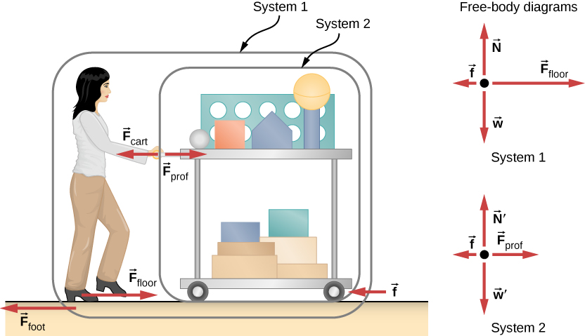 Figure shows a person pushing a cart from left to right. Near the feet of the person are the arrows labeled F subscript foot pointing left and F subscript floor pointing right. An arrow f pointing left is shown near the wheel of the cart. The arrows F subscript prof pointing right and F subscript cart pointing left are shown near her hands. The cart is circled and labeled system 2. The cart and person are circled together and this is labeled system 1. Two free body diagrams are shown. The first, of system 1 has F subscript floor pointing right, N pointing up, f pointing left and w pointing down. The second diagram, of system 2, has F subscript prof pointing right, N prime pointing up, f pointing left and w prime pointing down.